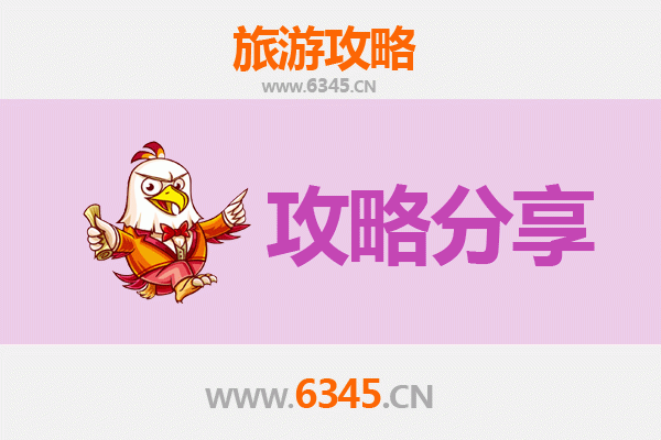 扎兰屯至湄洲岛旅游攻略：跟团还是自由行选择指南